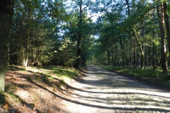 dscn1881