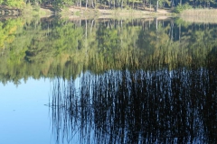 dscn1884