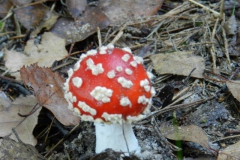 dscn1889