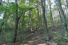 dscn1901