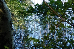 dscn1902