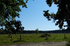 dscn1909