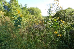 dscn1910