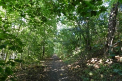 dscn1917