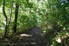 dscn1918