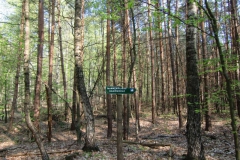 cimg2278_800x600