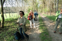 cimg2281_800x600