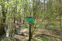 cimg2282_800x600