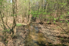cimg2283_800x600