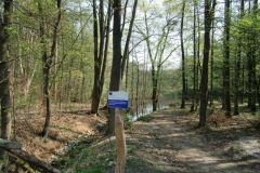 cimg2284_800x600