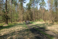 cimg2285_800x600