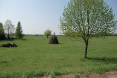 cimg2287_800x600