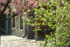cimg2293_800x600