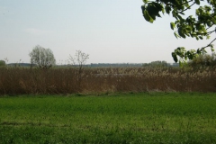 cimg2295_800x600