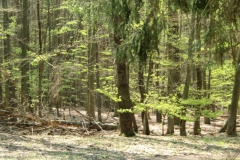 cimg2302_800x600