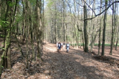 cimg2305_800x600