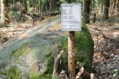 cimg2307_800x600