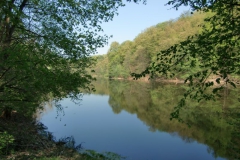 cimg2309_800x600