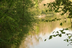 cimg2310_800x600