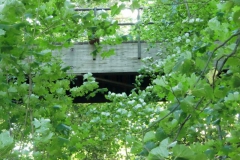 cimg2803