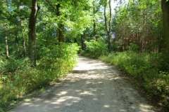 cimg2849