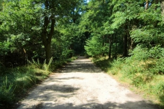 cimg2852