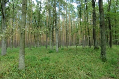 cimg2856