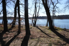 p1000452_copy