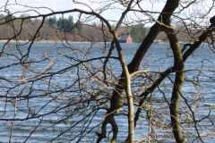 p1000458_copy