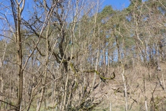 p1000461_copy