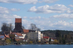 p1000467_copy