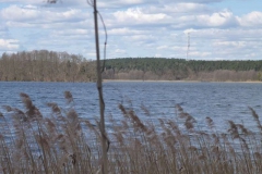 p1000470_copy