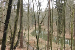 dscn5698
