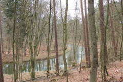 dscn5699