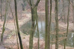 p1010406