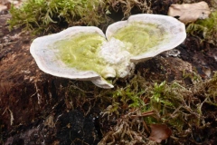 p1010445