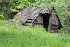 dscn4030