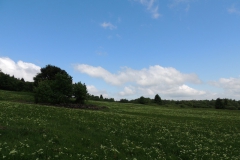 dscn4038