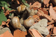 dscn4050