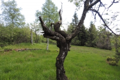 dscn4107