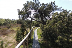 dscn4124