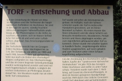 dscn4141