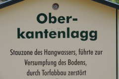 dscn4142