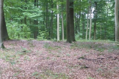 p1020063