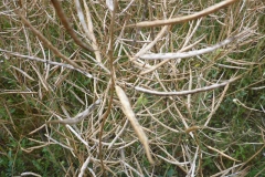 p1020073