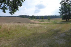p1020077