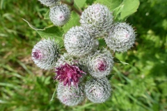 p1020092