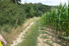 p1020097