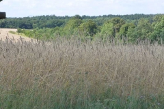 p1020109