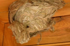 p1020110
